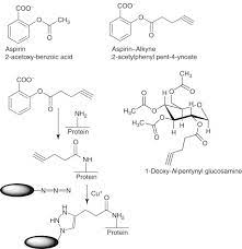 Acetylsalicylic Acid Derivative An
