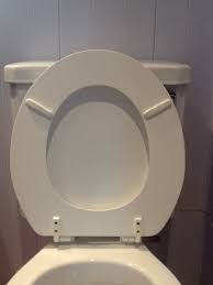 Replace Bumpers On A Toilet Seat