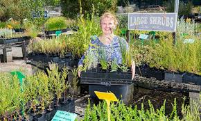 Planting Guide For Native Plants City