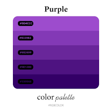 Premium Vector Purple Color Palettes