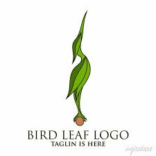 Bird Leaf Logo Vector Icon Template