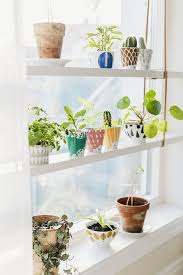 25 Diy Indoor Window Garden For Limited