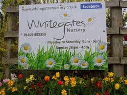 Whitegates Nursery West Rounton