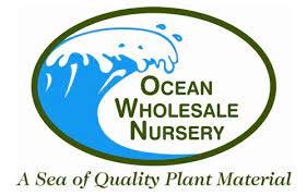About Us Ocean Whole Nursery