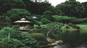 What Japanese Gardens Taught Me About