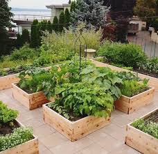 Raised Vegetable Garden Ideas Family