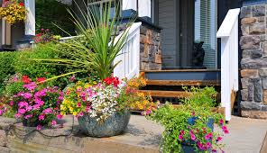 Gorgeous Container Gardens