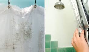 Shower Curtain