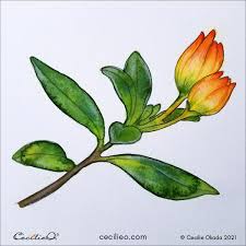 Watercolor For Beginners Tutorial A