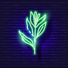 Green Leaf Neon Icon Neon Nature Sign