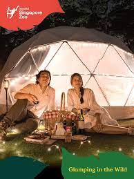 Glamping In The Wild Singapore Zoo