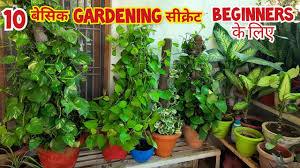 Basic Gardening Secrets For Beginners