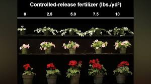 Controlled Release Fertilizers 101