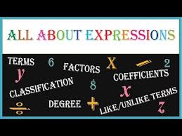 All About Algebraic Expressions