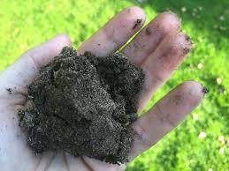 Soil Types Explained What Soil Type Do