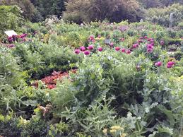 A Potager A French Kitchen Garden