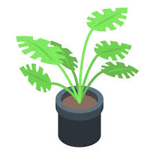 Tropical Plant Pot Icon Isometric Of