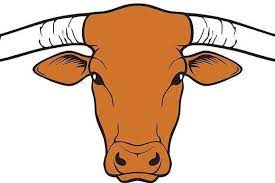 Longhorn Head Texas Design Bull Icon
