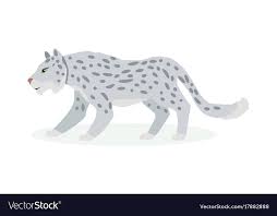 Snow Leopard Cartoon Flat Royalty Free