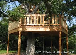 Fun Freestanding Treehouse Builder