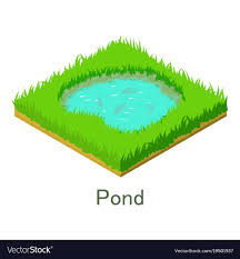 Pond Icon Isometric Style Royalty Free