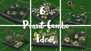6 Plant Combo Design Ideas Welcome To