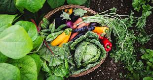 Crops Will Produce A Bountiful Harvest