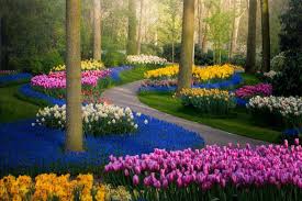The Most Beautiful Flower Garden In The