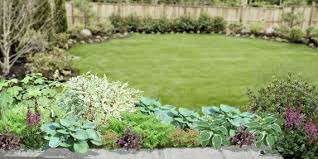 Shady Perennial Garden