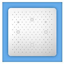 24 Two Function Ceiling Shower