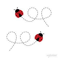 Ladybird Cute Icon Ladybug Flying On