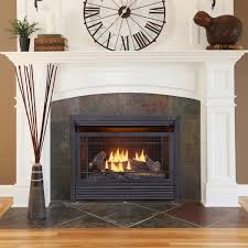Duluth Forge Dual Fuel Ventless Fireplace Insert 26 000 Btu T Stat Control