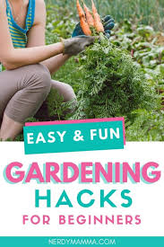 Gardening S For Beginners Tips And