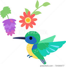 Hummingbirds And Flowers Hovering
