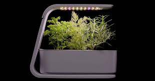 Best Indoor Garden Kits 2023 The