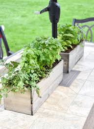 Simple Herb Garden Centerpieces Home