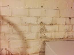 Painting Basement Walls After