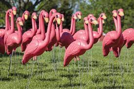How The Plastic Pink Flamingo Became An