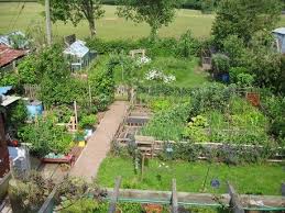 Garden Permaculture Compost
