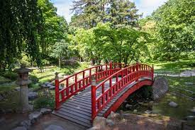 Red Wooden Bridge On A Japanese Garden Pond