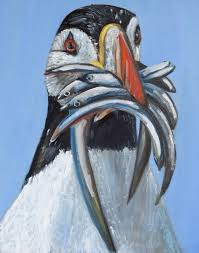 Puffin Colourful Animal Wild Life