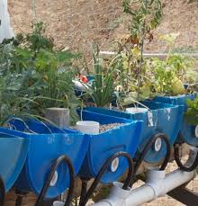 Garden Planters Diy Aquaponics Barrel