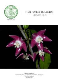 Araceae Colocasieae For Thailand