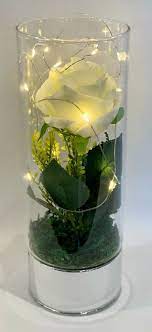 Glass Vase With Led String Lights