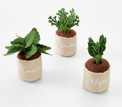 Potted Gardening Herbs Pottery Barn Kids