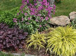 Shade Garden Plants Zone 5 Border