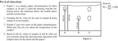 Sample Paper Chromatogram