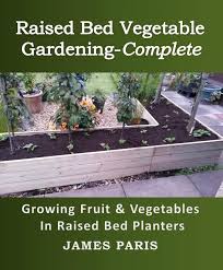 Raised Beds Vs In Ground Beds No Dig