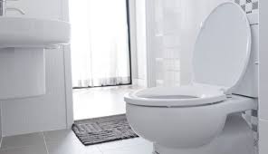 Elongated Vs Round Toilet Pros Cons