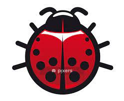 Spotted Ladybug Icon Pixers Ca